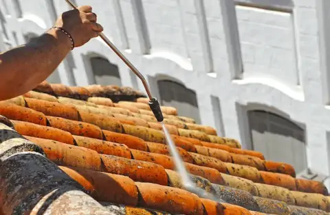 Nettoyage de toitures - Plouër-sur-Rance